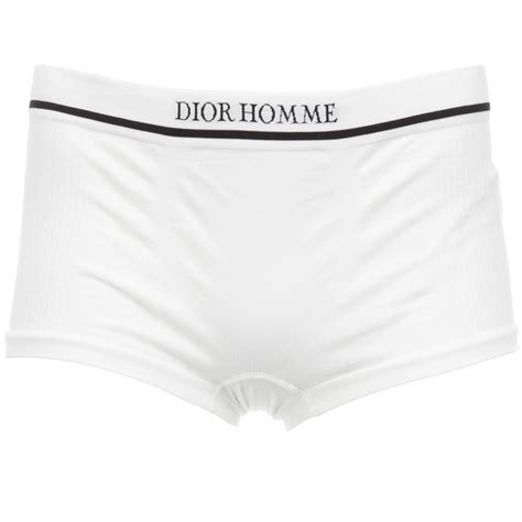 dior mens designer|Dior men's underwear.